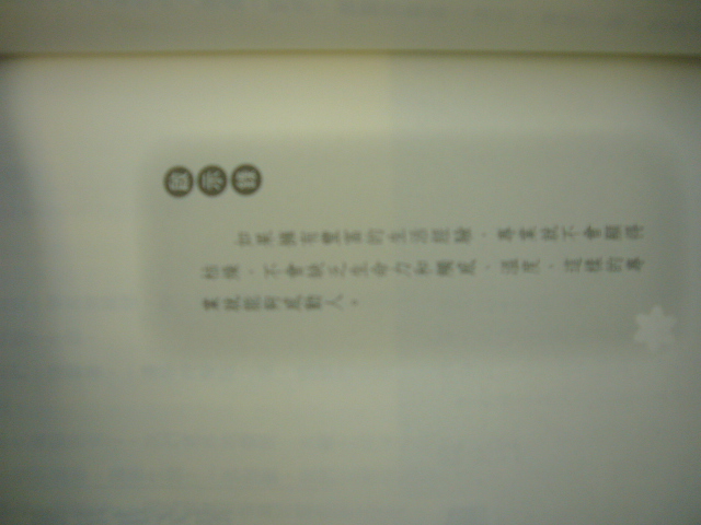 P1060102.JPG
